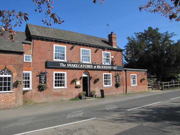 Snakecatcher, Brockenhurst