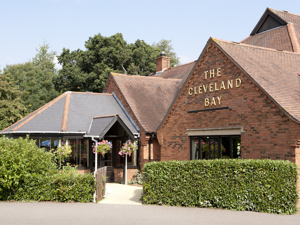 Cleveland Bay, Chandler's Ford