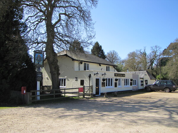 Royal Oak, Hill Top