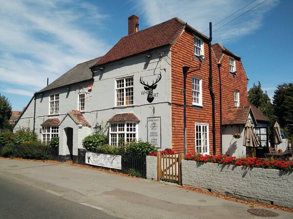 White Hart, Pennington