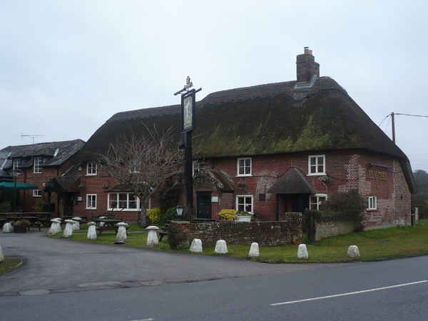 Elm Tree, Ringwood