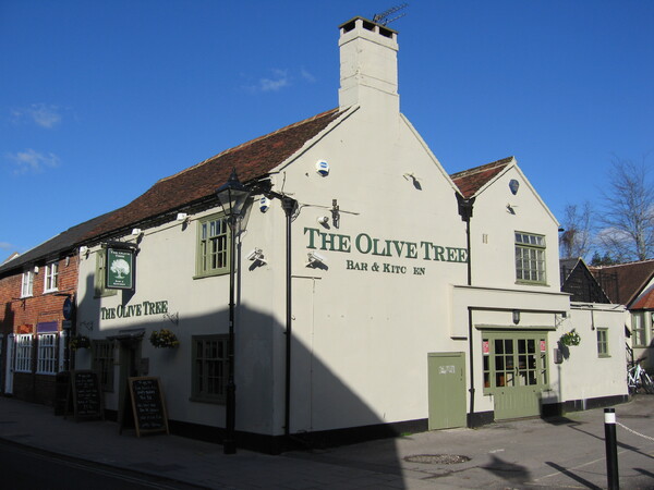 Olive, Romsey